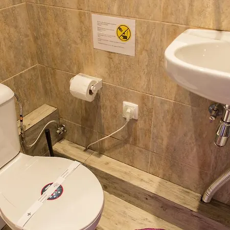 Guerra Junqueiro Ii *